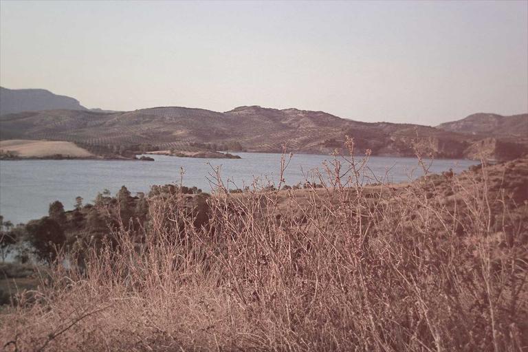 null
