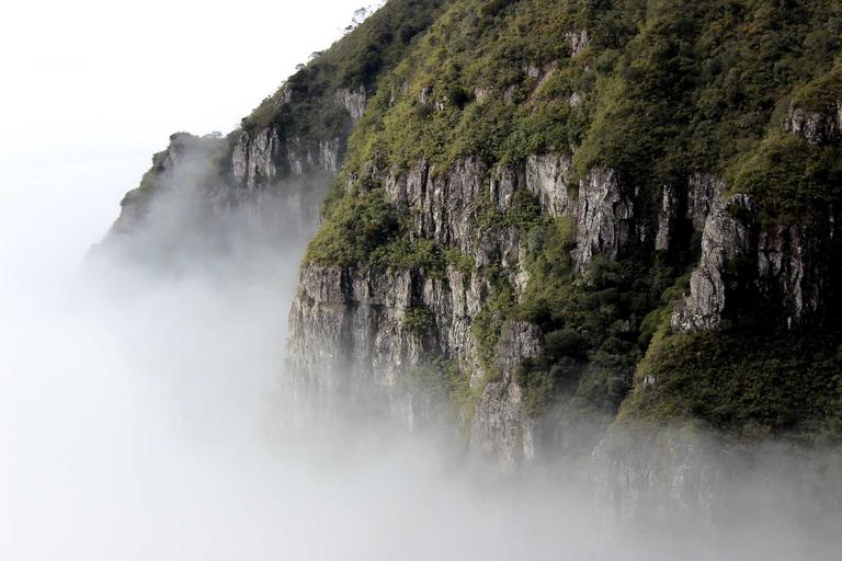 2-5天拿下WS蓝标认证,零系统成本办理教程